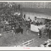 Auction of Hereford cattle at the San Angelo Fat Stock Show. San Angelo, Texas