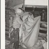Emptying freshly sheared mohair into sack which holds approximately three hundred pounds. Sack is taken to warehouse for storage. Junction, Texas. Kimble County