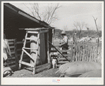 Corner of goat shearing pen with partly filled bag of mohair and filled bags. Ranchman is counting goats as they leave the shearing pen. Kimble County, Texas