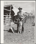 Shearer handling a goat which will be shorn. Kimble County, Texas