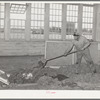 Workman at wool scouring plant pushing wool into hopper which feeds scouring machine on floor below. San Marcos, Texas