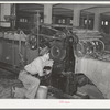 Workman cleaning wool scouring machine. San Marcos, Texas