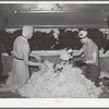 Workers removing scoured and dried wool from machine. Wool scouring plant, San Marcos, Texas