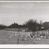 Kids in fenced enclosure in front of stockade. Ranch in Sutton County, Texas
