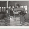 Workman feeding raw wool into machine which removes loose dust and dirt and burs. Wool scouring plant, San Marcos, Texas