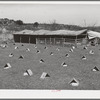 Kids in individual shelters. These shelters can be turned to protect kids from cold winds or too hot sun. Kids are tied to wire which is strung near the shelter. Ranch, Kimble County, Texas