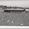Kids in individual shelters. These shelters can be turned to protect kids from cold winds or too hot sun. Kids are tied to wire which is strung near the shelter. Ranch, Kimble County, Texas