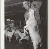 Shearer lifting goat just after he has been shorn to get him out of the way. Kimble County, Texas
