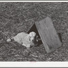 Kid in front of individual shelter on ranch in Kimble County, Texas