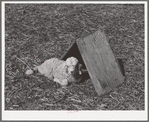 Kid in front of individual shelter on ranch in Kimble County, Texas