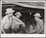 Sheep and goat shearers sharpening a blade while at work on a ranch of rehabilitation borrower in Kimble County, Texas