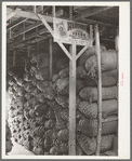 Sacks of wool and mohair in storage at the Kimble County Wool and Mohair Company Warehouse. Junction, Texas is in the center of sheep and goat country