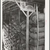 Sacks of wool and mohair in storage at the Kimble County Wool and Mohair Company Warehouse. Junction, Texas is in the center of sheep and goat country