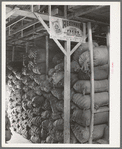 Sacks of wool and mohair in storage at the Kimble County Wool and Mohair Company Warehouse. Junction, Texas is in the center of sheep and goat country