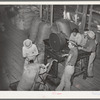 Weighing a sack of mohair at the Kimble County Wool and Mohair Company warehouse, Junction, Texas. These sacks weigh close to three hundred pounds