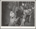 Weighing a sack of mohair at the Kimble County Wool and Mohair Company warehouse, Junction, Texas. These sacks weigh close to three hundred pounds