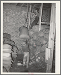 Hoisting a sack of mohair in place in the warehouse of the Kimble County Wool and Mohair Company. Junction, Texas