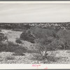 Rocky, hilly terrain spotted with scrub oak and cedar trees. Kimble County, Texas