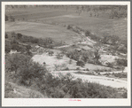 Sheep and goat ranch in Kimble County, Texas