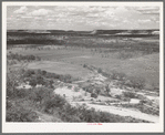 Sheep and goat ranch with caprock showing in background. Kimble County, Texas