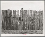 Cedar post fence on ranch of rehabilitation borrower in Kimble County, Texas