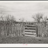 Cedar post fence on ranch of rehabilitation borrower in Kimble County, Texas