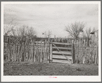 Cedar post fence on ranch of rehabilitation borrower in Kimble County, Texas