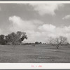 Landscape. Refugio County, Texas