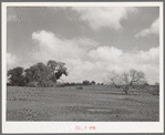 Landscape. Refugio County, Texas