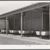 Rows of laundry tubs at the migratory labor camp at Sinton, Texas