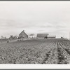 Plowed land in front of farmhouse in Travis County, Texas