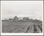 Plowed land in front of farmhouse in Travis County, Texas