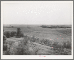 Character of farming land in Mills County, Texas