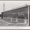 Front of row shelter for migratory workers at the migratory labor camp. Sinton, Texas