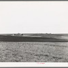 Character of farm land in the black waxy prairie of Texas. Williamson County, Texas
