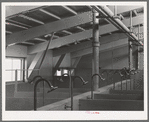 Showers in the sanitary unit at the migratory labor camp. Sinton, Texas