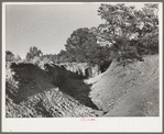 Gully in overgrazed mountain land in Bernalillo County, New Mexico