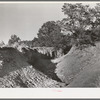 Gully in overgrazed mountain land in Bernalillo County, New Mexico