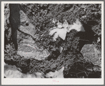 Melting snow in the mountains of Bernalillo County, New Mexico. This melting snow which feeds the rivers and streams in this section is an important source of water for the valley farmers and stockmen