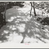 Shadows on the snow in the mountains in Bernalillo County, New Mexico. The unusual crescent shaped light in patches in the shadows were caused by the eclipse of the sun