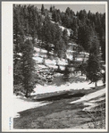 Snow melting on the mountainside in Bernalillo County, New Mexico