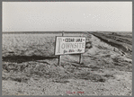 Sign on the high Texas great plains. Dawson County, Texas