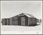 Cot house in the oil town of Hobbs, New Mexico. Hobbs is now experiencing a boom and the cot houses are necessary for the swarms of workers who come in. This is typical of all oil boom towns