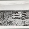 Grave on the high plains. Dawson County, Texas