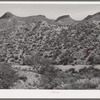 Along the Apache Trail in Gila County, Arizona