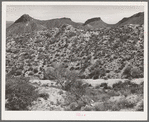 Along the Apache Trail in Gila County, Arizona