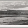 Valley of the Little Colorado River, a section which produces fine range through flood irrigation. Apache County near Springerville, Arizona