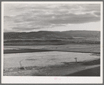 Valley of the Little Colorado River, a section which produces fine range through flood irrigation. Apache County near Springerville, Arizona