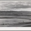 Valley of the Little Colorado River, a section which produces fine range through flood irrigation. Apache County near Springerville, Arizona