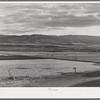 Valley of the Little Colorado River, a section which produces fine range through flood irrigation. Apache County near Springerville, Arizona